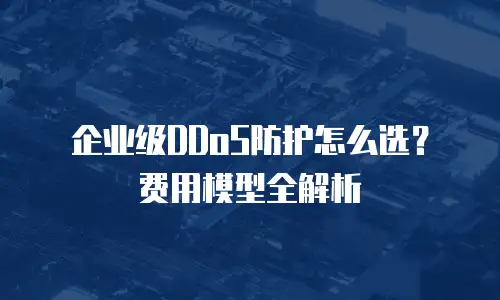 企业级DDoS防护怎么选？费用模型全解析