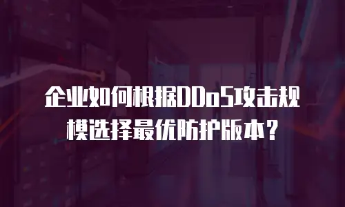 企业如何根据DDoS攻击规模选择最优防护版本？