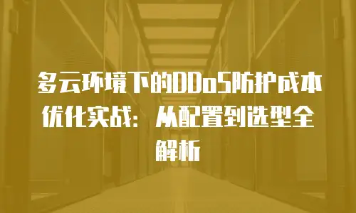 多云环境下的DDoS防护成本优化实战：从配置到选型全解析