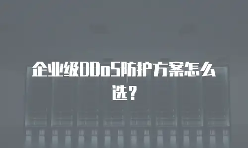 企业级DDoS防护方案怎么选？