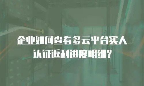 企业如何查看多云平台实人认证返利进度明细？