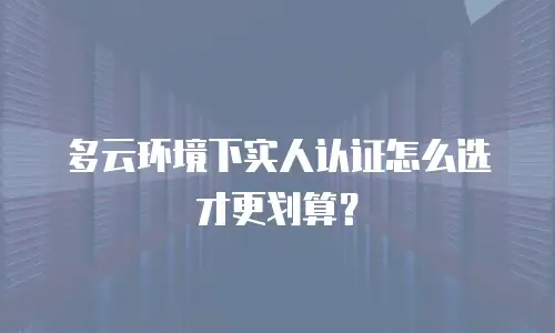多云环境下实人认证怎么选才更划算？