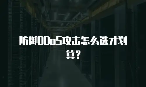 防御DDoS攻击怎么选才划算？