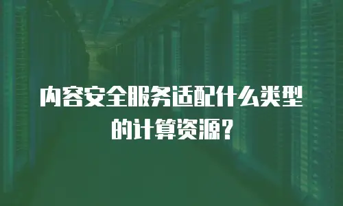 内容安全服务适配什么类型的计算资源？