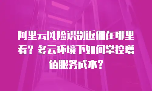 阿里云风险识别返佣在哪里看？多云环境下如何掌控增值服务成本？