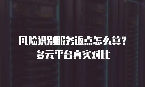 风险识别服务返点怎么算？多云平台真实对比