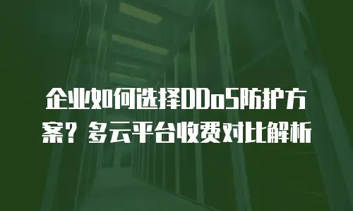 企业如何选择DDoS防护方案？多云平台收费对比解析