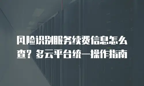 风险识别服务续费信息怎么查？多云平台统一操作指南