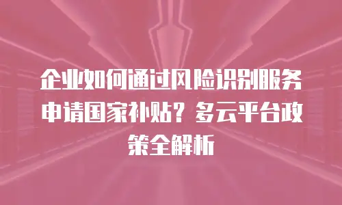 企业如何通过风险识别服务申请国家补贴？多云平台政策全解析