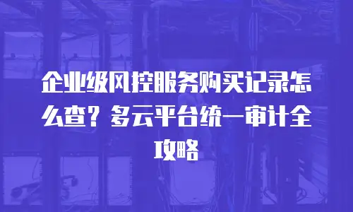 企业级风控服务购买记录怎么查？多云平台统一审计全攻略