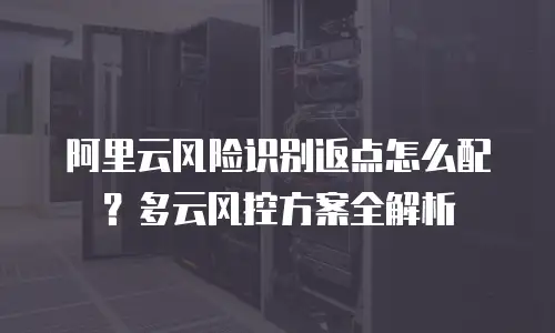 阿里云风险识别返点怎么配？多云风控方案全解析
