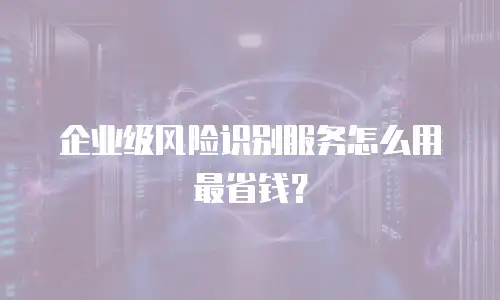 企业级风险识别服务怎么用最省钱？