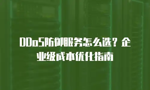 DDoS防御服务怎么选？企业级成本优化指南