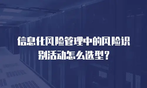 信息化风险管理中的风险识别活动怎么选型？