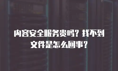 内容安全服务贵吗？找不到文件是怎么回事？