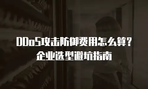 DDoS攻击防御费用怎么算？企业选型避坑指南