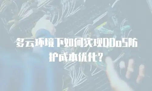 多云环境下如何实现DDoS防护成本优化？