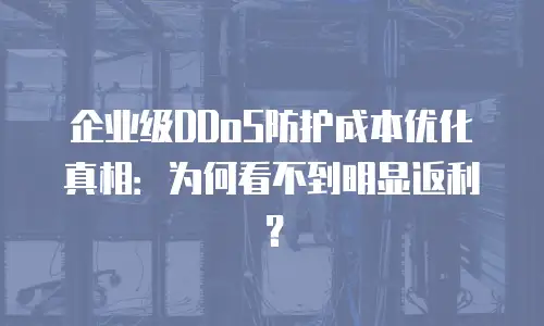 企业级DDoS防护成本优化真相：为何看不到明显返利？