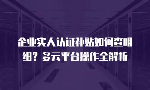 企业实人认证补贴如何查明细？多云平台操作全解析