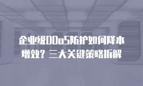 企业级DDoS防护如何降本增效？三大关键策略拆解