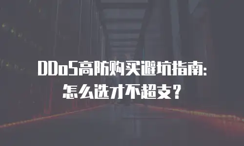 DDoS高防购买避坑指南：怎么选才不超支？