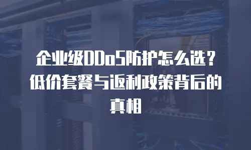 企业级DDoS防护怎么选？低价套餐与返利政策背后的真相