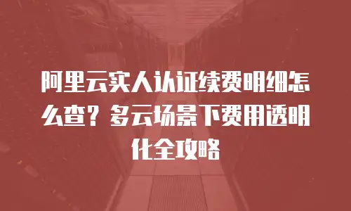阿里云实人认证续费明细怎么查？多云场景下费用透明化全攻略