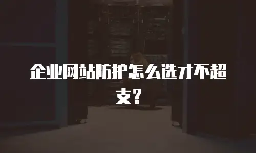 企业网站防护怎么选才不超支？