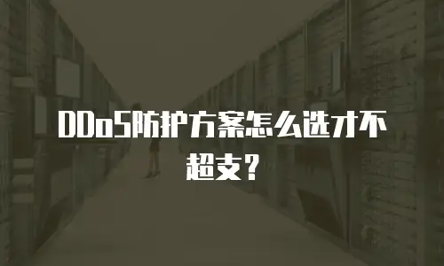 DDoS防护方案怎么选才不超支？