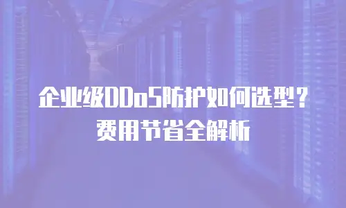 企业级DDoS防护如何选型？费用节省全解析