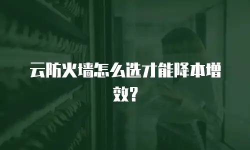 云防火墙怎么选才能降本增效？
