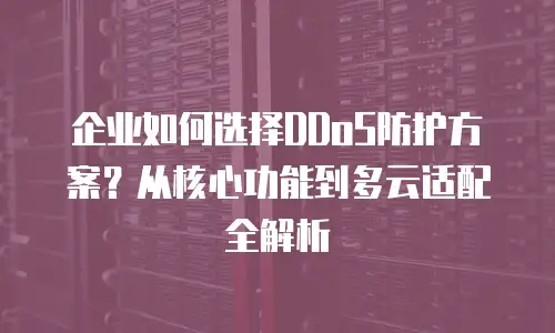 企业如何选择DDoS防护方案？从核心功能到多云适配全解析