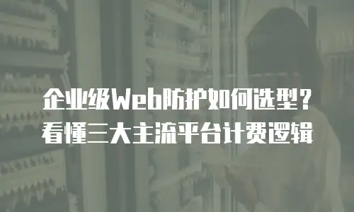 企业级Web防护如何选型？看懂三大主流平台计费逻辑