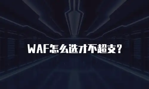 WAF怎么选才不超支？