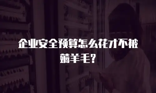 企业安全预算怎么花才不被薅羊毛？