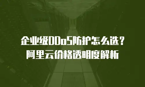 企业级DDoS防护怎么选？阿里云价格透明度解析
