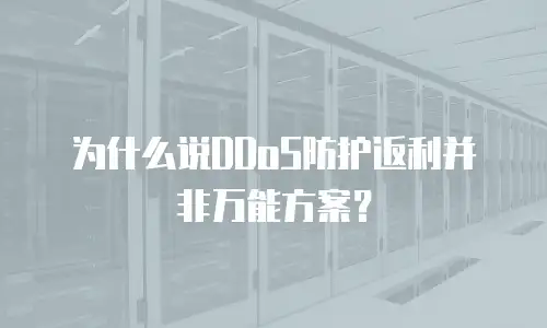 为什么说DDoS防护返利并非万能方案？