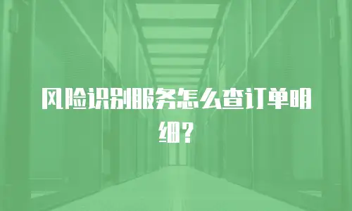 风险识别服务怎么查订单明细？