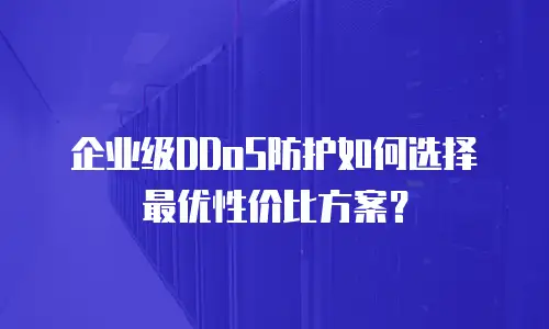 企业级DDoS防护如何选择最优性价比方案？