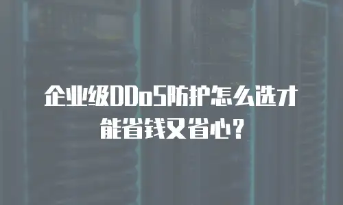 企业级DDoS防护怎么选才能省钱又省心？