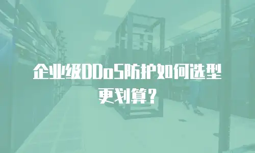 企业级DDoS防护如何选型更划算？