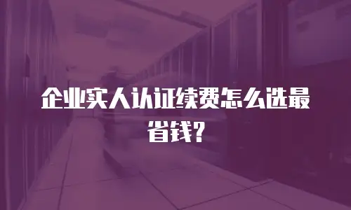 企业实人认证续费怎么选最省钱？