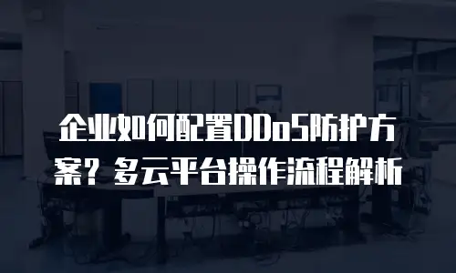 企业如何配置DDoS防护方案？多云平台操作流程解析