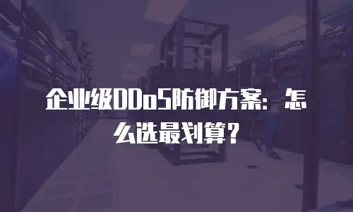 企业级DDoS防御方案：怎么选最划算？