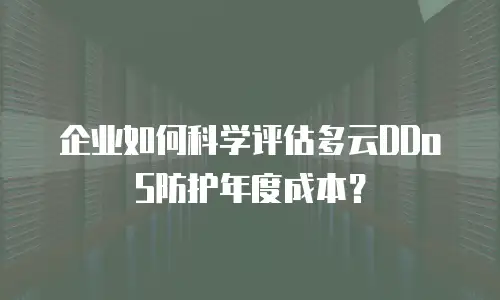 企业如何科学评估多云DDoS防护年度成本？