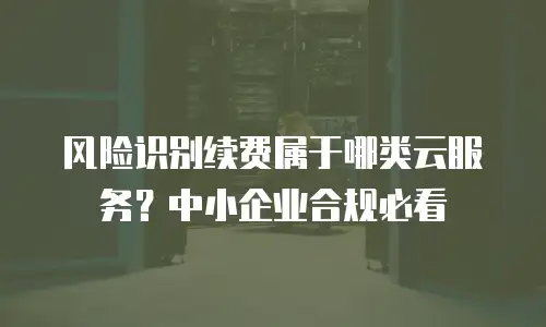 风险识别续费属于哪类云服务？中小企业合规必看