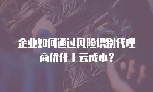 企业如何通过风险识别代理商优化上云成本？