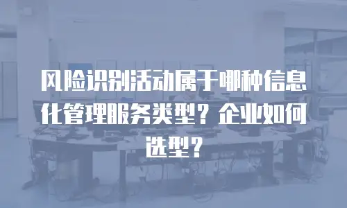 风险识别活动属于哪种信息化管理服务类型？企业如何选型？