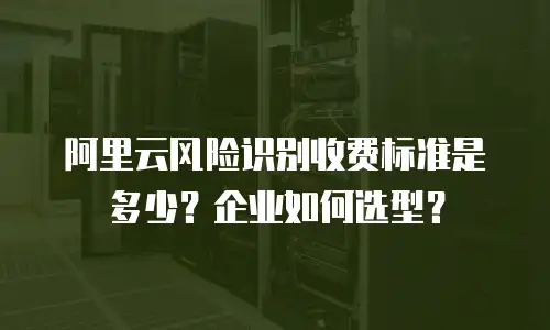 阿里云风险识别收费标准是多少？企业如何选型？