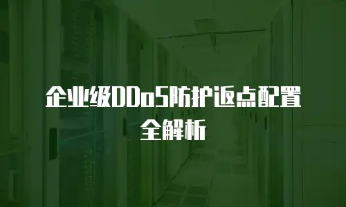 企业级DDoS防护返点配置全解析